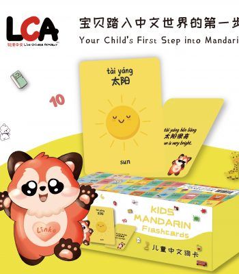 LCA 401 Chinese Flashcards, for Toddlers & Preschool Learning, Compatible with the LCA Reading pen