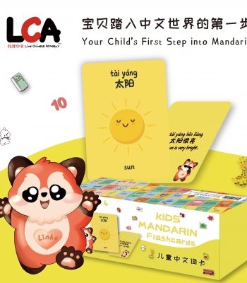 LCA 401 Chinese Flashcards, for Toddlers & Preschool Learning, Compatible with the LCA Reading pen